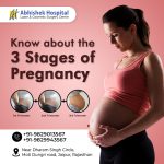 Stages of Pregnancy
